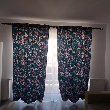 布拉索夫Casa Brianna公寓 外观 照片