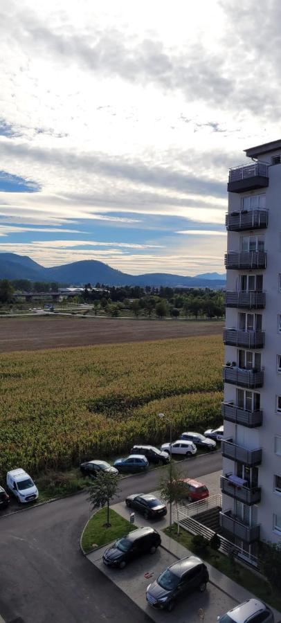 布拉索夫Casa Brianna公寓 外观 照片