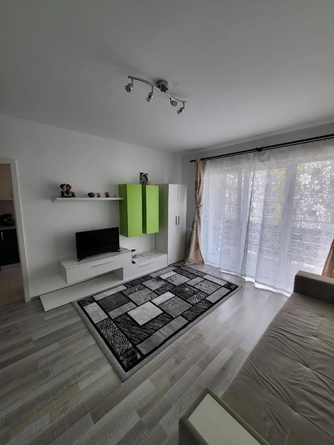 布拉索夫Casa Brianna公寓 外观 照片