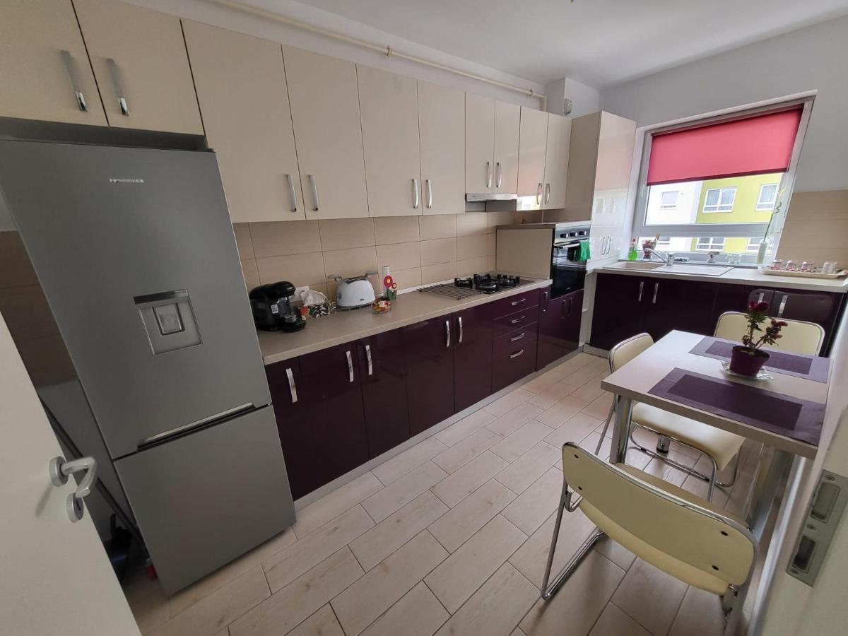 布拉索夫Casa Brianna公寓 外观 照片