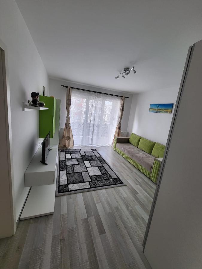布拉索夫Casa Brianna公寓 外观 照片