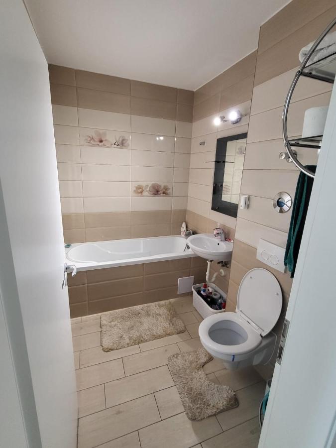 布拉索夫Casa Brianna公寓 外观 照片